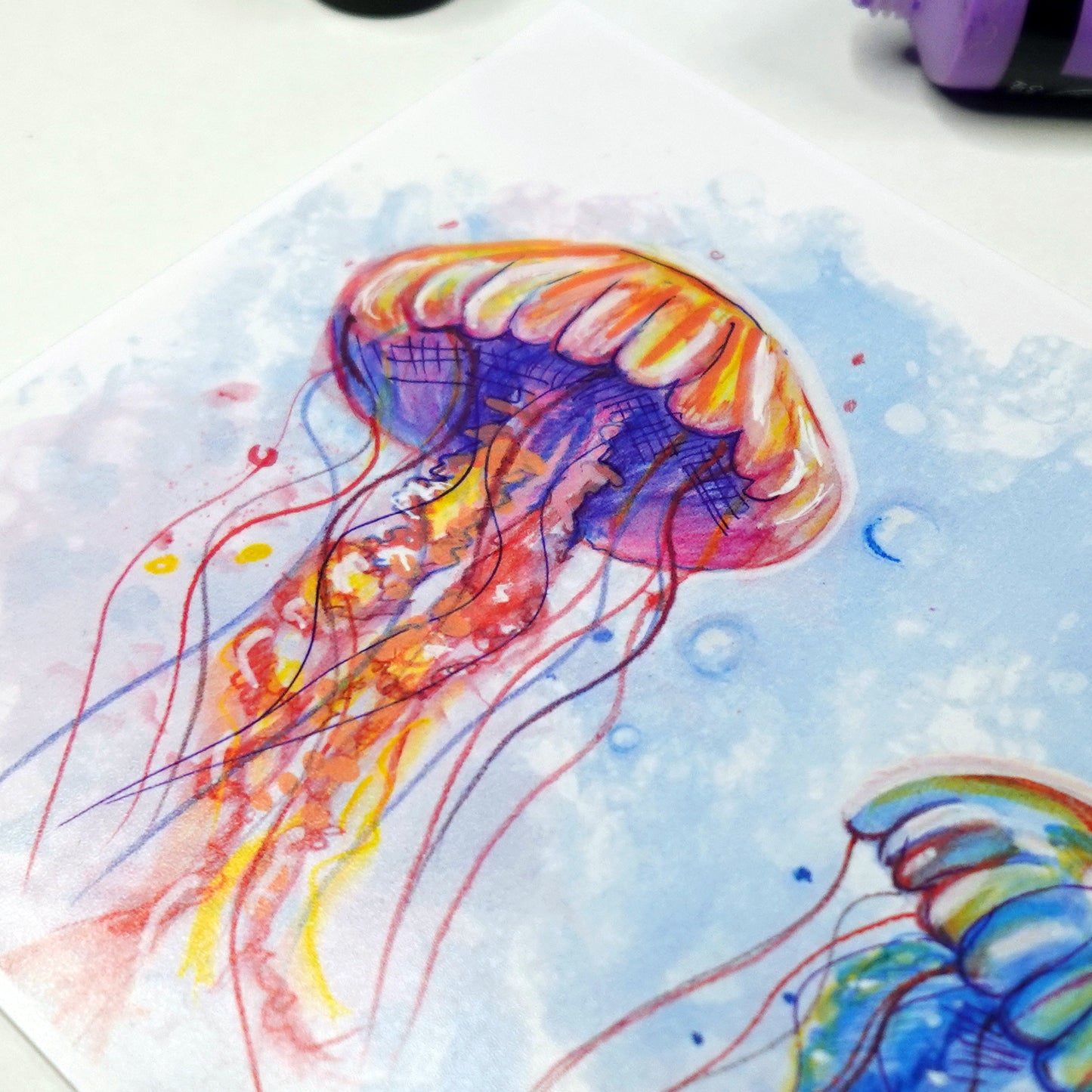 Bubble Jellies - Art Print